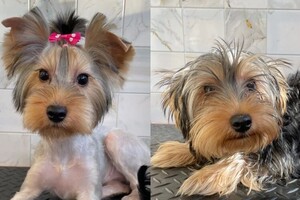 Мосенко Анита Валерьевна — Портфолио №83