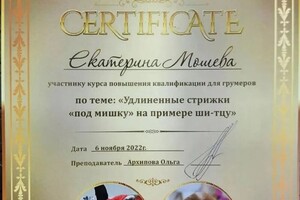 Диплом / сертификат №11 — Мошева Екатерина Игоревна