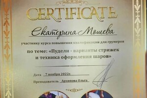 Диплом / сертификат №12 — Мошева Екатерина Игоревна