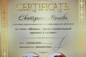 Диплом / сертификат №13 — Мошева Екатерина Игоревна