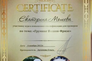 Диплом / сертификат №14 — Мошева Екатерина Игоревна