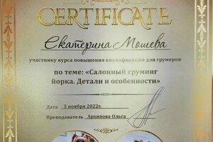 Диплом / сертификат №8 — Мошева Екатерина Игоревна