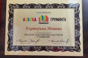 Диплом / сертификат №9 — Мошева Екатерина Игоревна