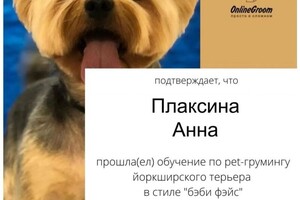 Диплом / сертификат №8 — Плаксина Анна Дмитриевна