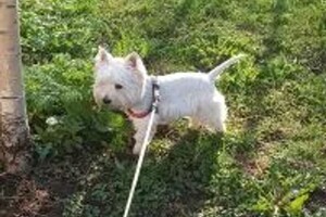 Потоцкая Елена Викторовна — Портфолио №1