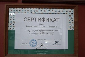 Рощинина Алина Алексеевна — Диплом / сертификат №2