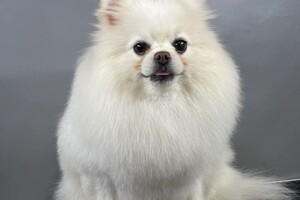 Седьмова Арина Геннадьевна — Портфолио №1