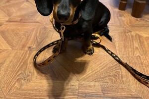 Шорин Никита Сергеевич — Портфолио №24