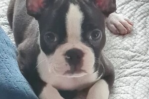 Шорин Никита Сергеевич — Портфолио №25