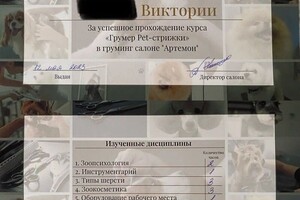 Шутько Виктория Викторовна — Диплом / сертификат №1