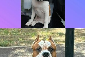 Соколовская Елизавета Михайловна — Портфолио №9