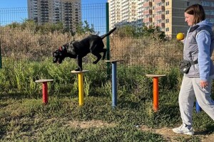 Старовойтова Дарья Сергеевна — Портфолио №39