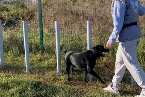 Старовойтова Дарья Сергеевна — Портфолио №40