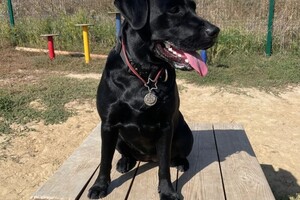 Старовойтова Дарья Сергеевна — Портфолио №41