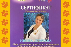 Диплом / сертификат №4 — Великанова Ирина Анатольевна