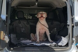 Вербицкий Антон Вячеславович — Портфолио №2