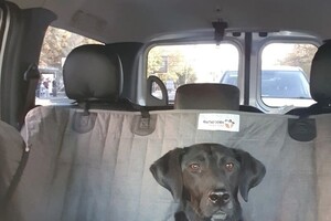 Вербицкий Антон Вячеславович — Портфолио №3