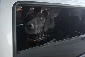 Вербицкий Антон Вячеславович — Портфолио №4