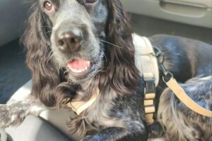 Вербицкий Антон Вячеславович — Портфолио №5