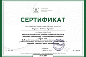 Диплом / сертификат №1 — Чуприкова Наталья Сергеевна