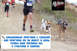 Портфолио №7 — Диффо Ловис Алексис