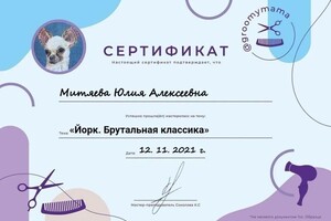 Диплом / сертификат №5 — Митяева Юлия Алексеевна
