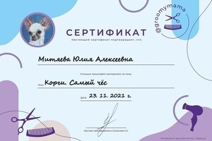 Диплом / сертификат №6 — Митяева Юлия Алексеевна