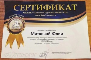 Диплом / сертификат №7 — Митяева Юлия Алексеевна