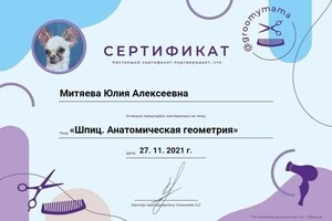 Диплом / сертификат №8 — Митяева Юлия Алексеевна
