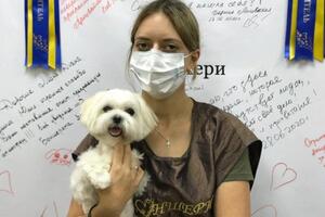 Стрижка мальтеза — Митяева Юлия Алексеевна