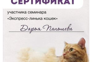Диплом / сертификат №1 — Паньшева Дарья Сергеевна