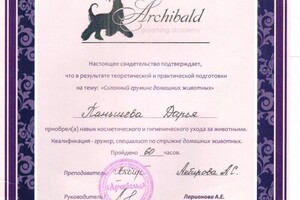Диплом / сертификат №3 — Паньшева Дарья Сергеевна