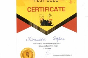 Диплом / сертификат №4 — Паньшева Дарья Сергеевна