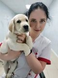 Семёнова-Гридина Галина Андреевна — ветеринарный хирург; лечение кошек (Рязань)