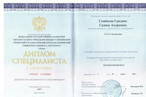 Диплом / сертификат №1 — Семёнова-Гридина Галина Андреевна