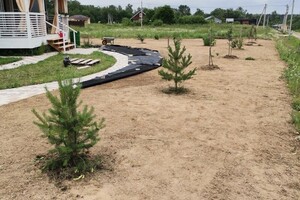 Планирование, прикатывание и подготовка участка к посеву газона. — Васильев Вячеслав Борисович