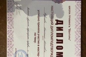 Диплом / сертификат №3 — Воронова Анастасия Антоновна