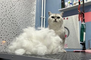 Портфолио №8 — Воронова Анастасия Антоновна
