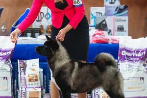 Гретта — Щипанова Татьяна Витальевна