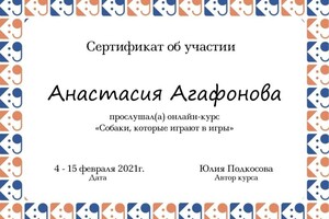 Диплом / сертификат №12 — Агафонова Анастасия Игоревна