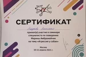 Диплом / сертификат №7 — Агафонова Анастасия Игоревна