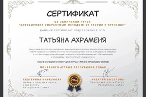 Диплом / сертификат №6 — Ахраменя Татьяна Вячеславовна