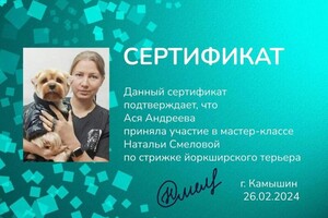 Диплом / сертификат №2 — Андреева Ася Анатольевна