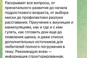 Отзыв от высококлассного ветеринара о щенячьем гайде — Авдик Екатерина Александровна