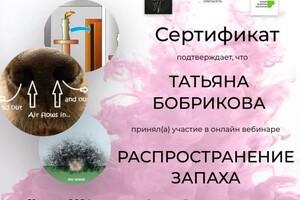 Диплом / сертификат №5 — Бобрикова Татьяна Николаевна