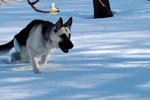 Асти после проведенной операции \