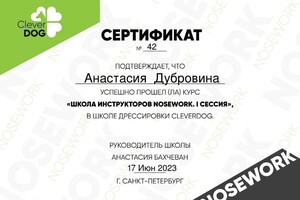 Диплом / сертификат №1 — Дубровина Анастасия Александровна