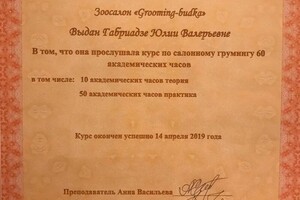 Диплом / сертификат №5 — Габриадзе Юлия Валерьевна