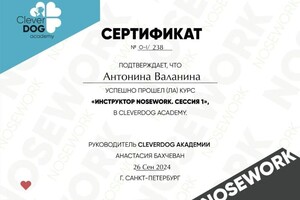 Диплом / сертификат №1 — Валанина Антонина Геннадьевна