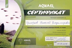 Диплом / сертификат №11 — Григорьев Николай Владимирович